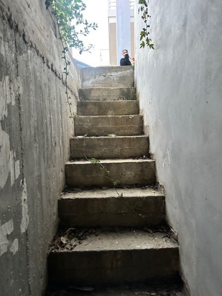 img-property