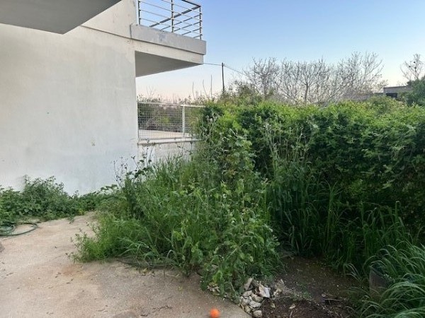 img-property