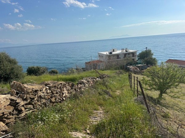 img-property