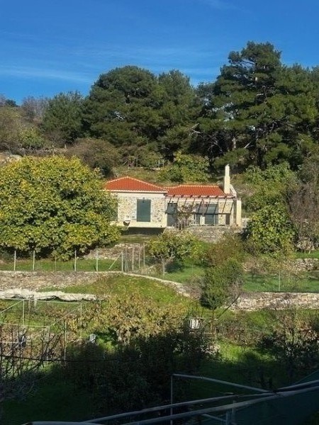 img-property