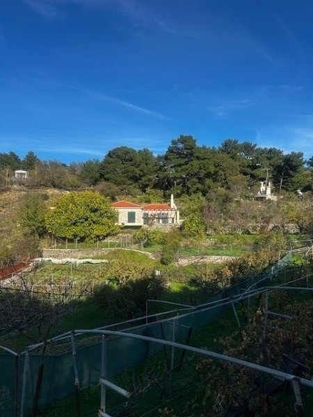 img-property
