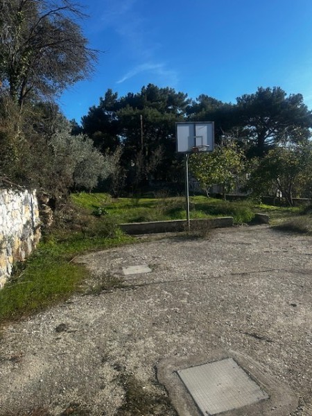 img-property