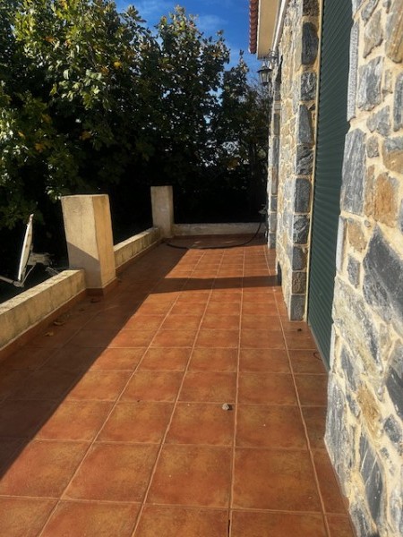img-property