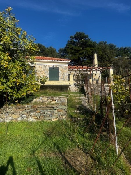 img-property