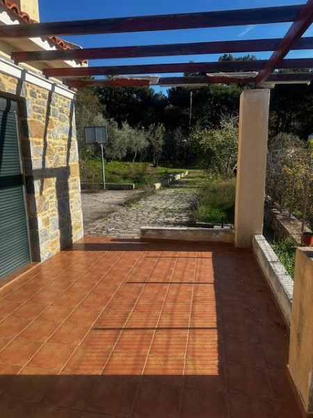img-property