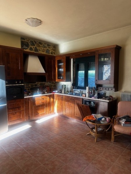 img-property