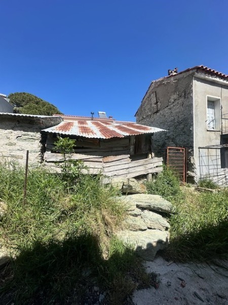 img-property