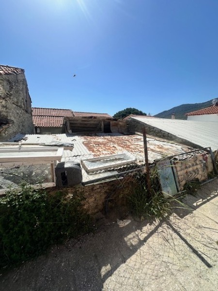 img-property
