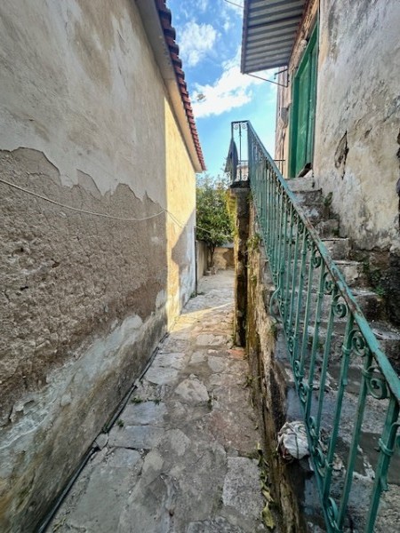 img-property