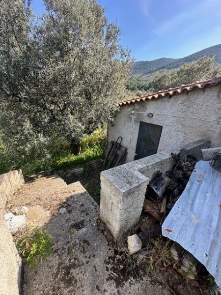 img-property