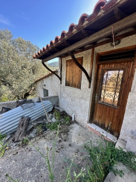img-property