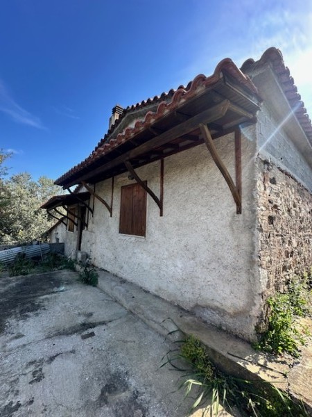 img-property