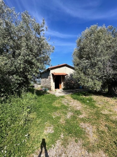 img-property