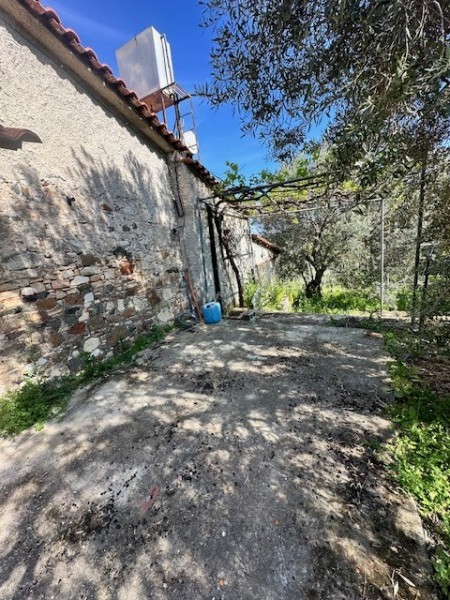 img-property