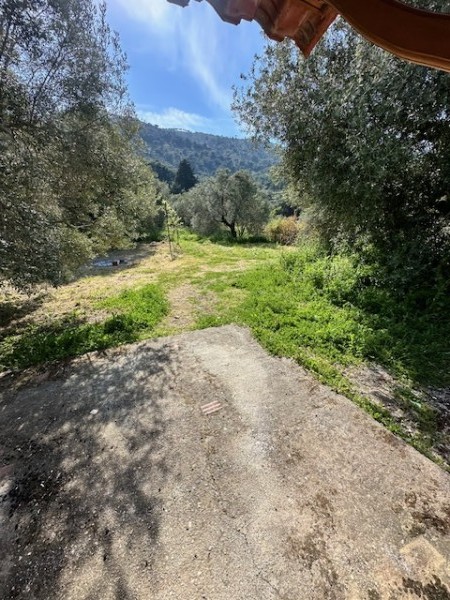 img-property