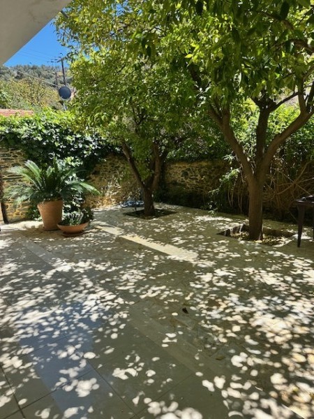 img-property