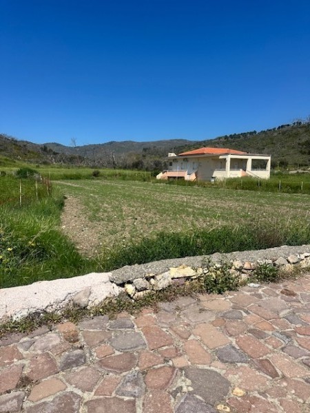 img-property