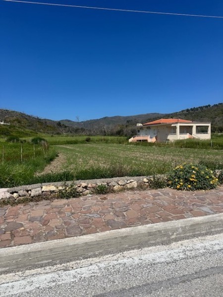 img-property