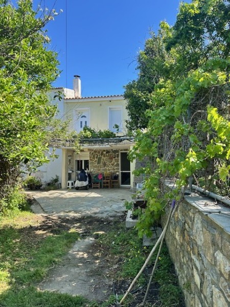 img-property