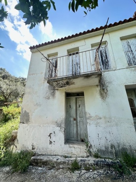 img-property