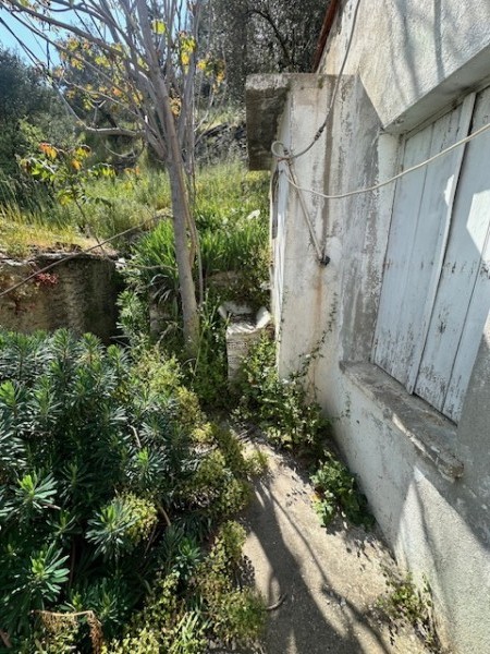 img-property