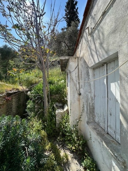 img-property