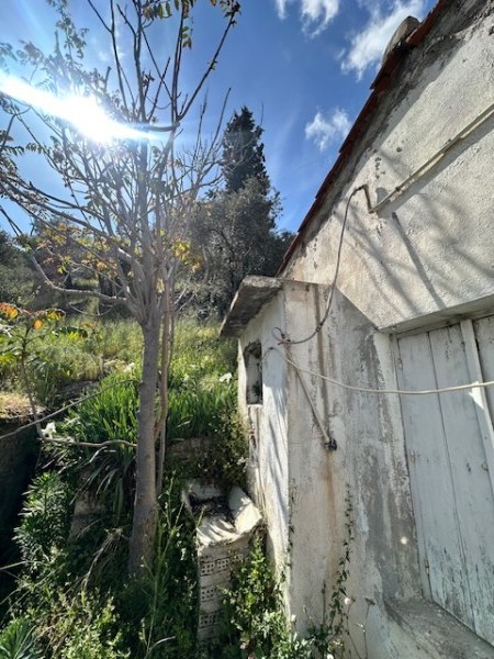 img-property