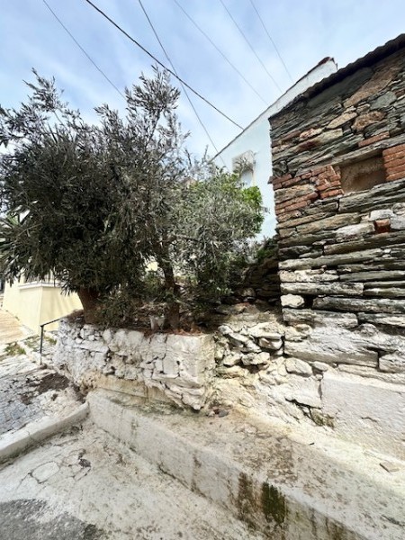 img-property