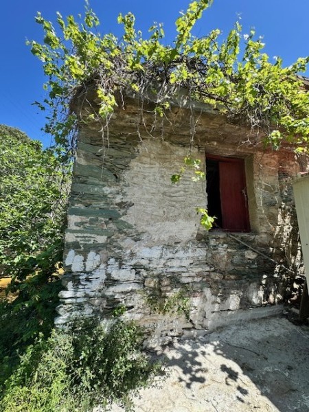img-property