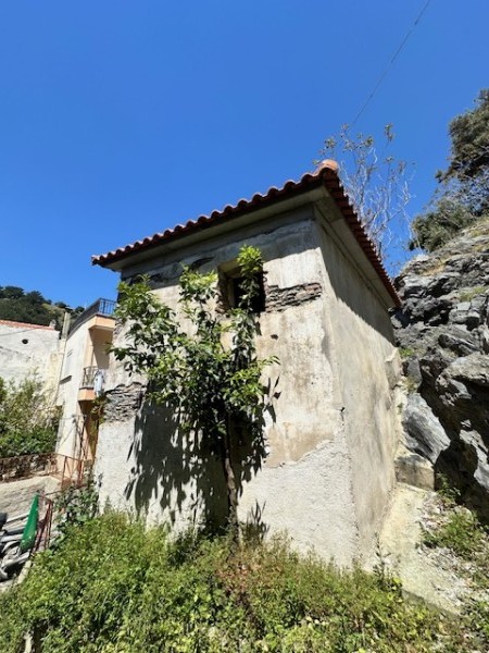 img-property