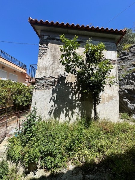 img-property