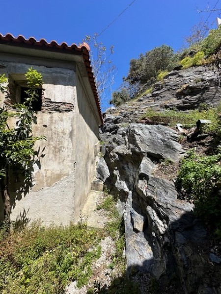 img-property