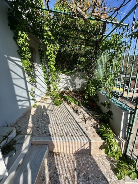 img-property