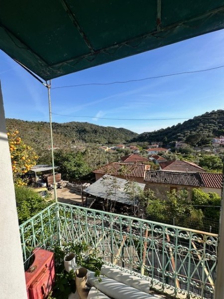 img-property