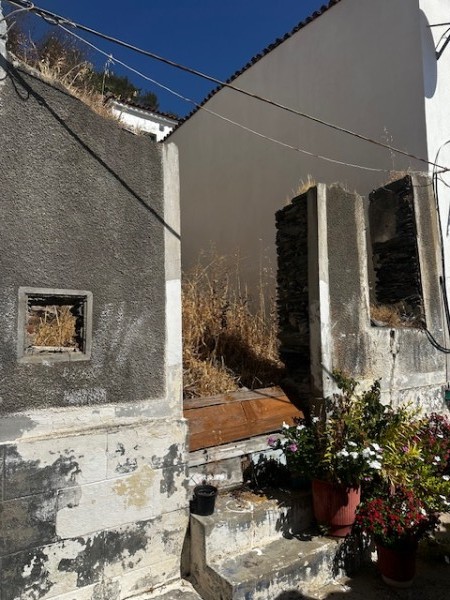 img-property