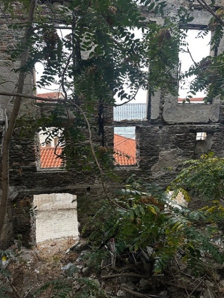img-property