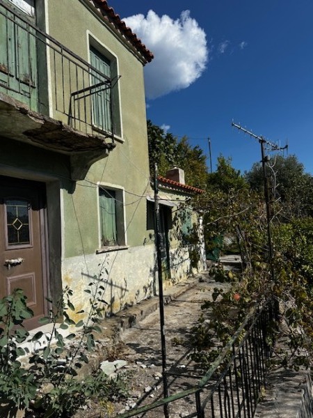 img-property