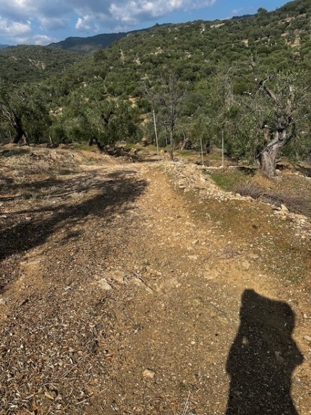 img-property