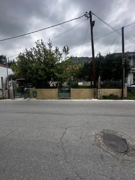 img-property
