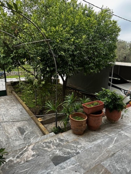 img-property