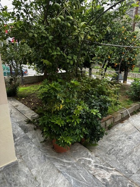img-property