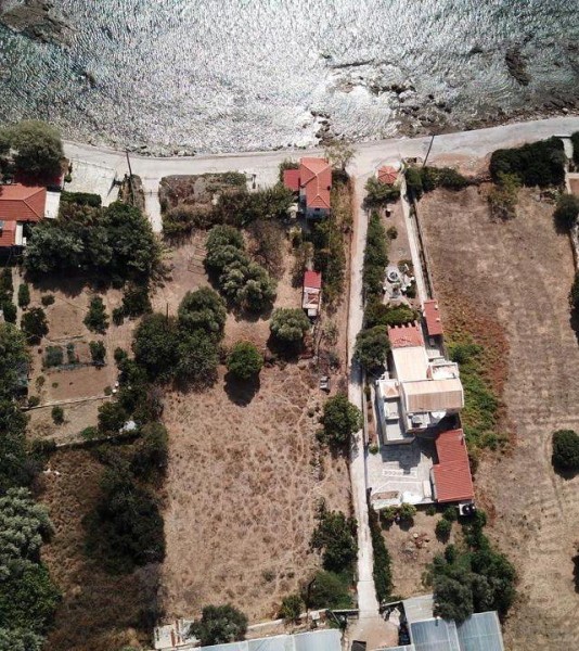 img-property