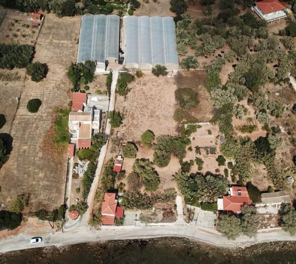 img-property