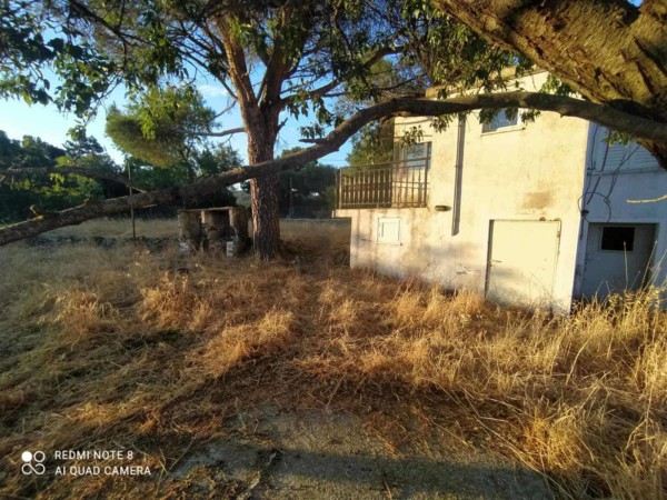 img-property