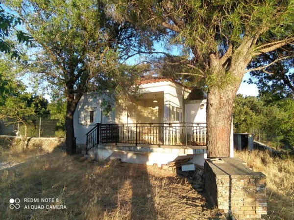 img-property