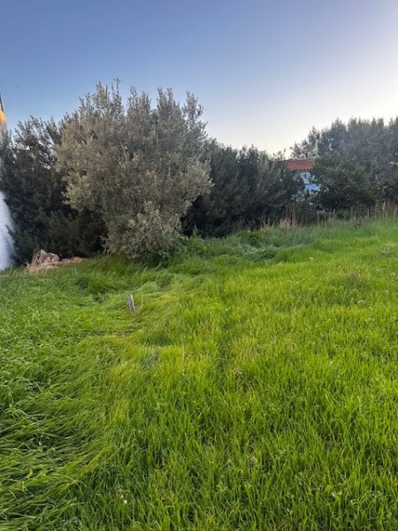 img-property