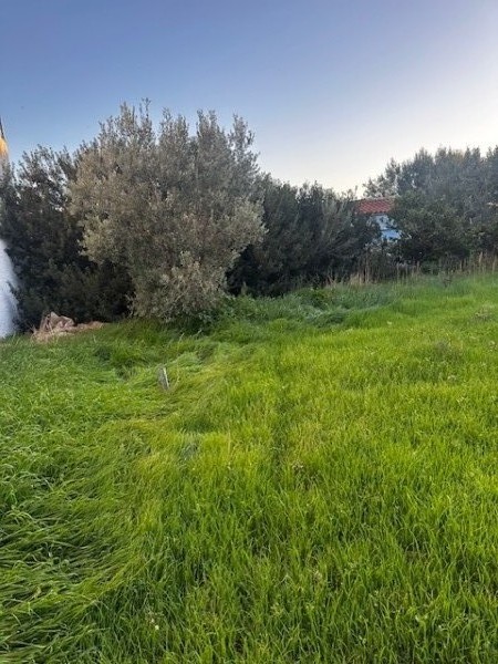 img-property
