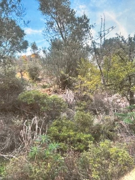 img-property