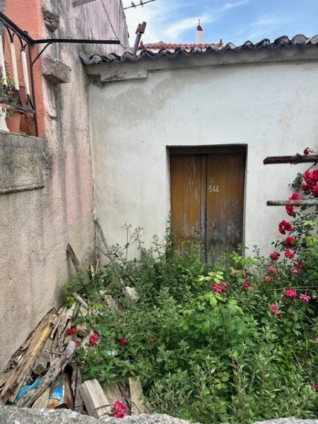 img-property
