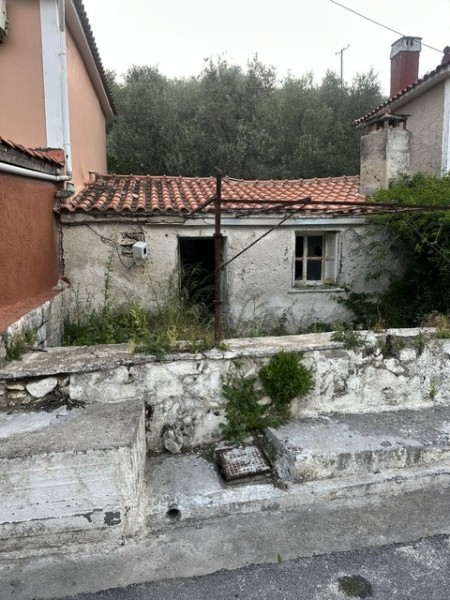 img-property